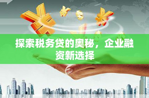 莎车探索税务贷的奥秘，企业融资新选择