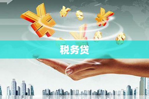 莎车税务贷