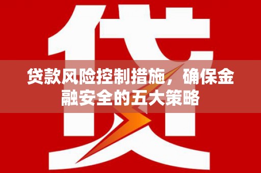 莎车贷款风险控制措施，确保金融安全的五大策略