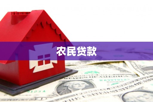 莎车农民贷款