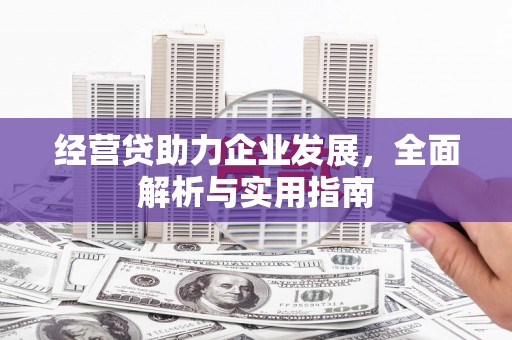 莎车经营贷助力企业发展，全面解析与实用指南