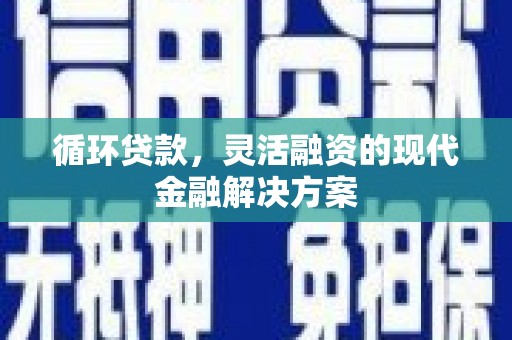莎车循环贷款，灵活融资的现代金融解决方案