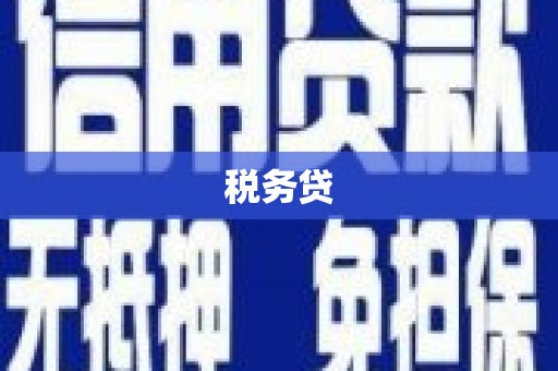 莎车税务贷
