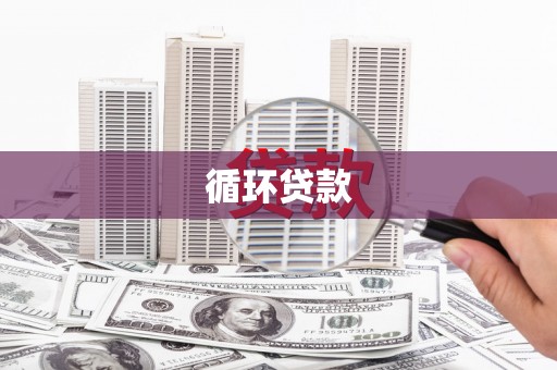 莎车循环贷款