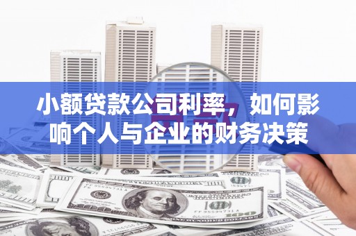 莎车小额贷款公司利率，如何影响个人与企业的财务决策