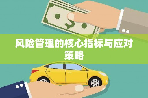 莎车风险管理的核心指标与应对策略