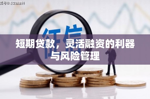 莎车短期贷款，灵活融资的利器与风险管理