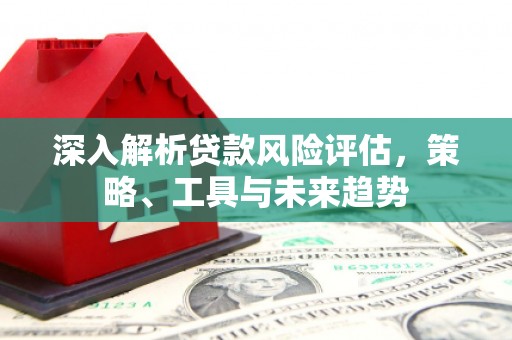 莎车深入解析贷款风险评估，策略、工具与未来趋势