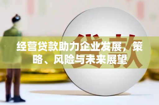 莎车经营贷款助力企业发展，策略、风险与未来展望