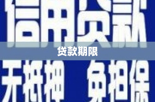 莎车贷款期限