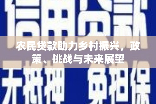 莎车农民贷款助力乡村振兴，政策、挑战与未来展望