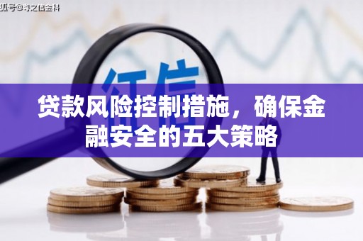 莎车贷款风险控制措施，确保金融安全的五大策略