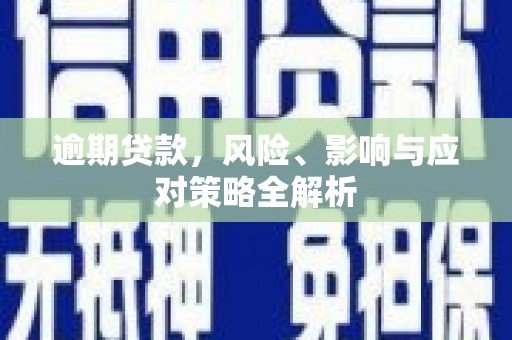 莎车逾期贷款，风险、影响与应对策略全解析