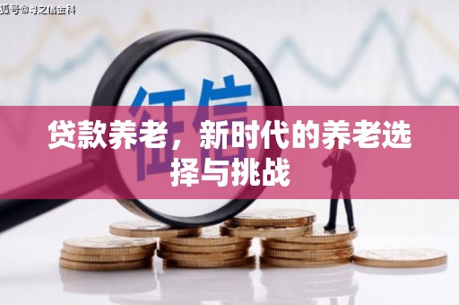 莎车贷款养老，新时代的养老选择与挑战