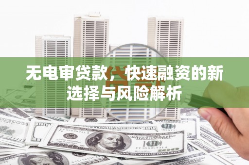 莎车无电审贷款，快速融资的新选择与风险解析
