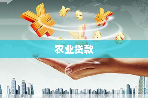 莎车农业贷款