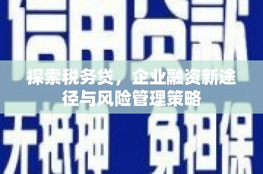 莎车探索税务贷，企业融资新途径与风险管理策略