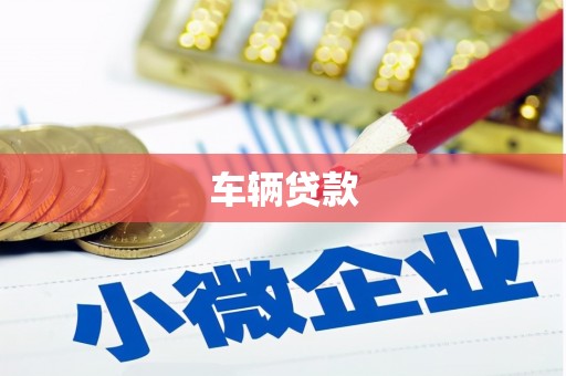 莎车车辆贷款