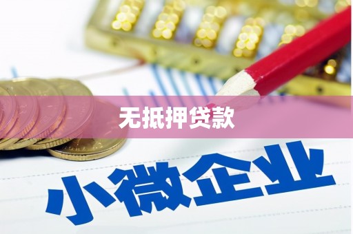莎车无抵押贷款