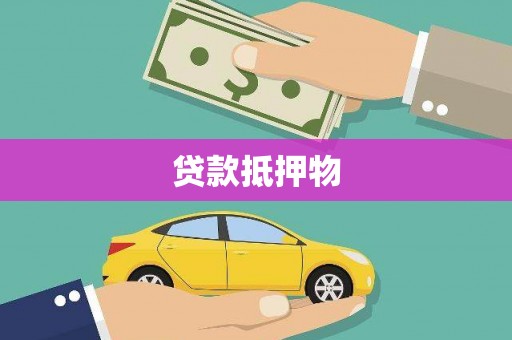 莎车贷款抵押物