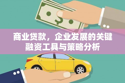 莎车商业贷款，企业发展的关键融资工具与策略分析