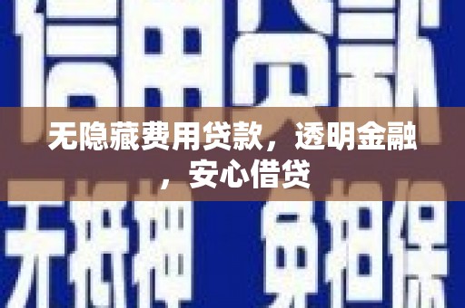 莎车无隐藏费用贷款，透明金融，安心借贷