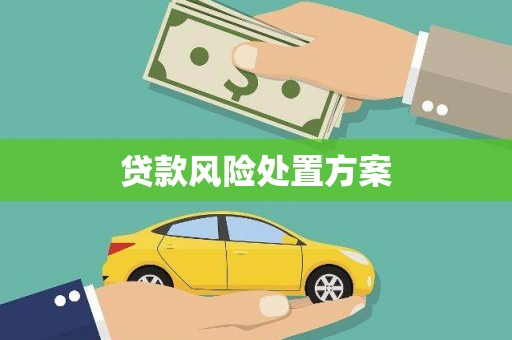 莎车贷款风险处置方案