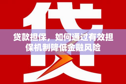 莎车贷款担保，如何通过有效担保机制降低金融风险