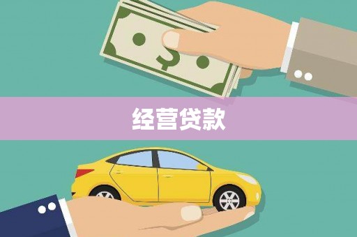 莎车经营贷款