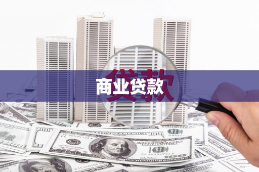 莎车商业贷款