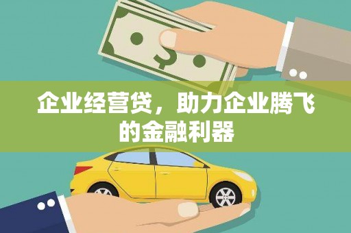 莎车企业经营贷，助力企业腾飞的金融利器