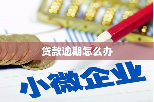 莎车贷款逾期怎么办