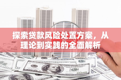 莎车探索贷款风险处置方案，从理论到实践的全面解析