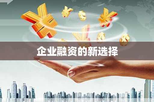 莎车企业融资的新选择