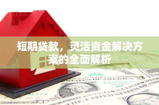 莎车短期贷款，灵活资金解决方案的全面解析