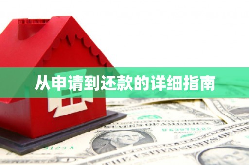 莎车从申请到还款的详细指南