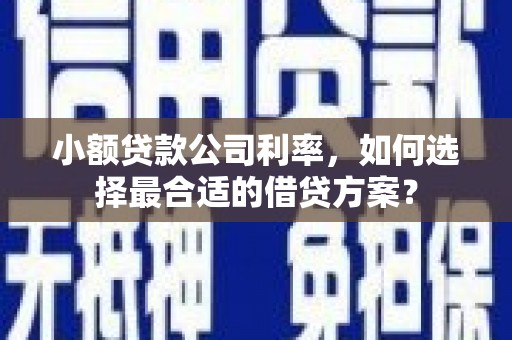 莎车小额贷款公司利率，如何选择最合适的借贷方案？