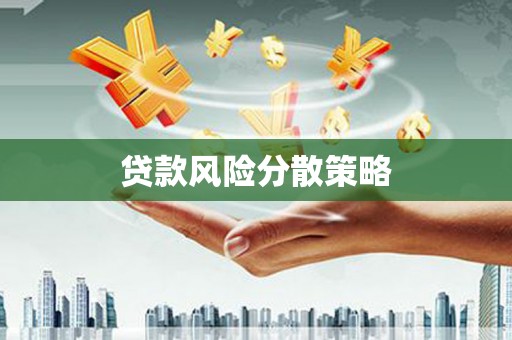 莎车贷款风险分散策略