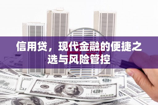 莎车信用贷，现代金融的便捷之选与风险管控