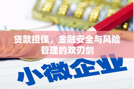 莎车贷款担保，金融安全与风险管理的双刃剑