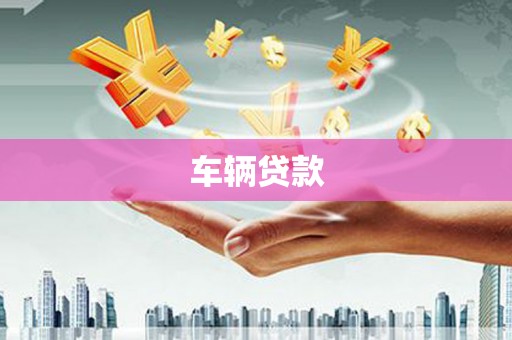 莎车车辆贷款