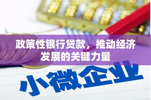 莎车政策性银行贷款，推动经济发展的关键力量