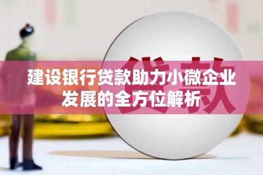 莎车建设银行贷款助力小微企业发展的全方位解析
