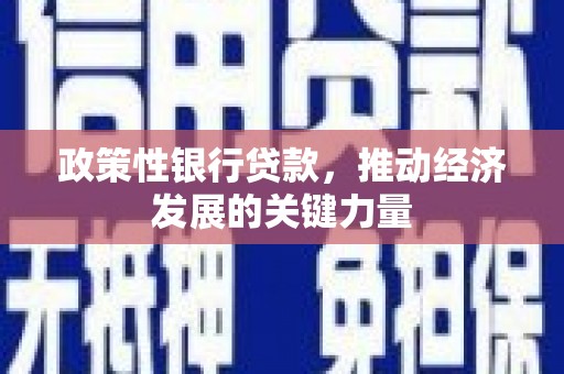 莎车政策性银行贷款，推动经济发展的关键力量