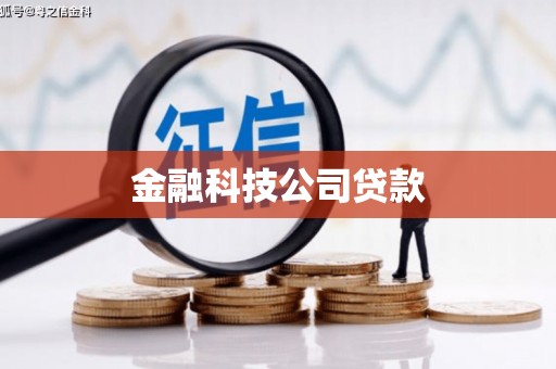 莎车金融科技公司贷款