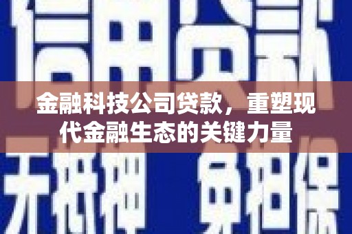 莎车金融科技公司贷款，重塑现代金融生态的关键力量