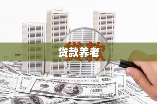 莎车贷款养老