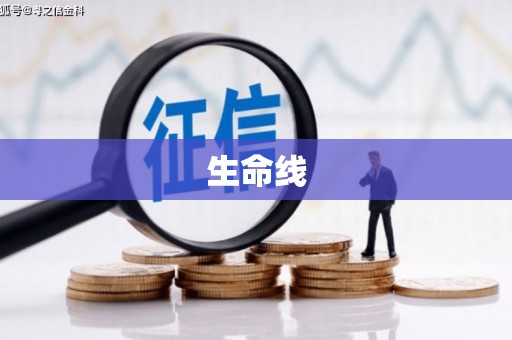 莎车生命线
