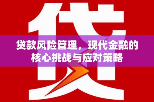 莎车贷款风险管理，现代金融的核心挑战与应对策略