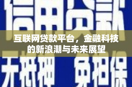 莎车互联网贷款平台，金融科技的新浪潮与未来展望